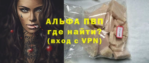 хмурый Арсеньев