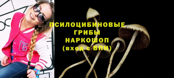 MDMA Premium VHQ Аркадак