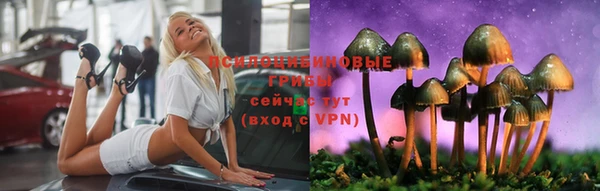 бошки Переславль-Залесский