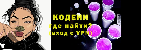 хмурый Арсеньев