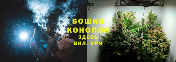 Альфа ПВП Пестово