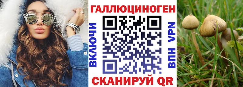 Псилоцибиновые грибы GOLDEN TEACHER  дарнет шоп  Арсеньев 